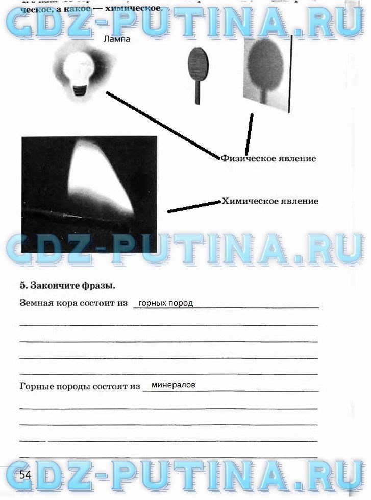 Рабочая тетрадь, 5 класс, Плешаков А.А., Сонин Н.И., 2014 - 2016, задание: 54
