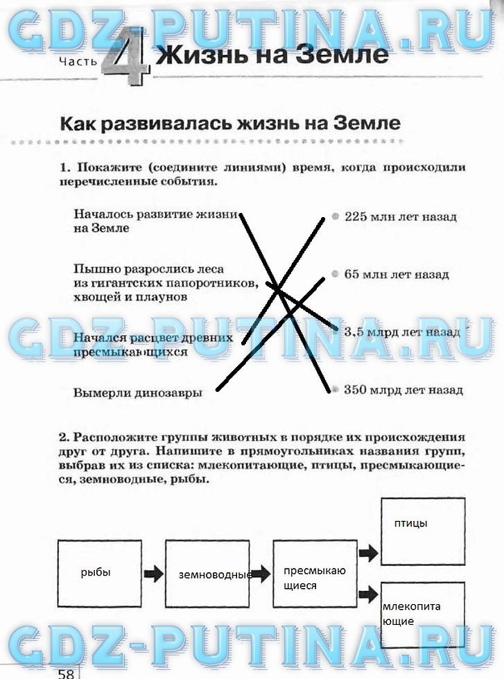 Рабочая тетрадь, 5 класс, Плешаков А.А., Сонин Н.И., 2014 - 2016, задание: 58