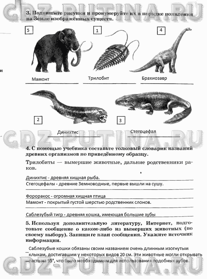 Рабочая тетрадь, 5 класс, Плешаков А.А., Сонин Н.И., 2014 - 2016, задание: 59