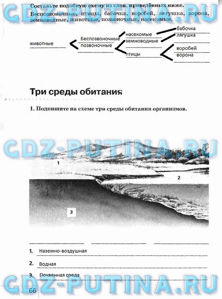 Рабочая тетрадь, 5 класс, Плешаков А.А., Сонин Н.И., 2014 - 2016, задание: 66