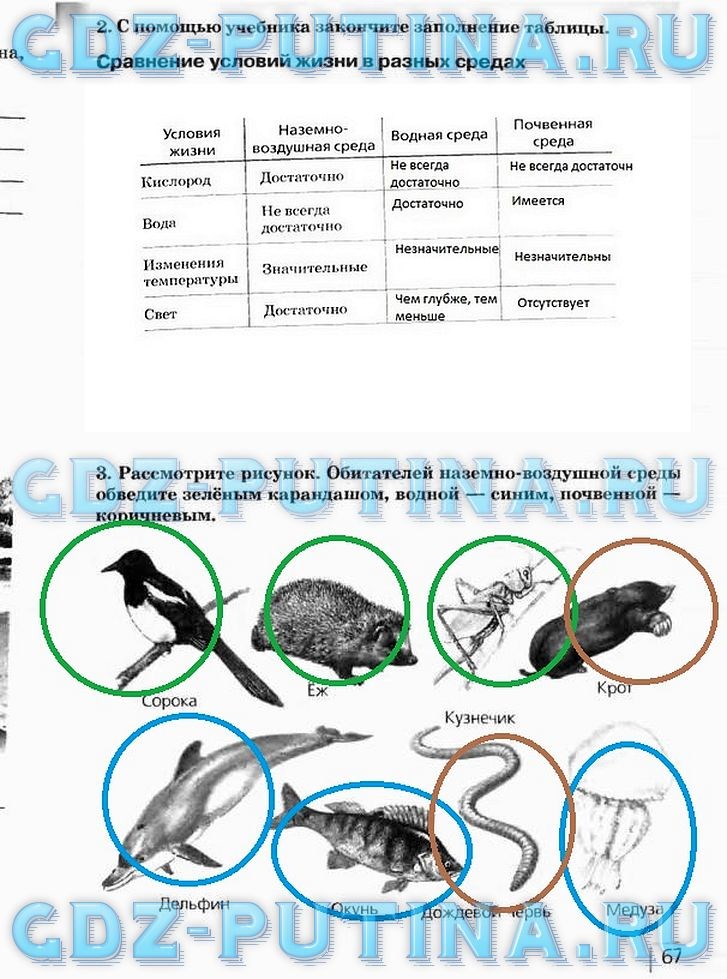 Рабочая тетрадь, 5 класс, Плешаков А.А., Сонин Н.И., 2014 - 2016, задание: 67