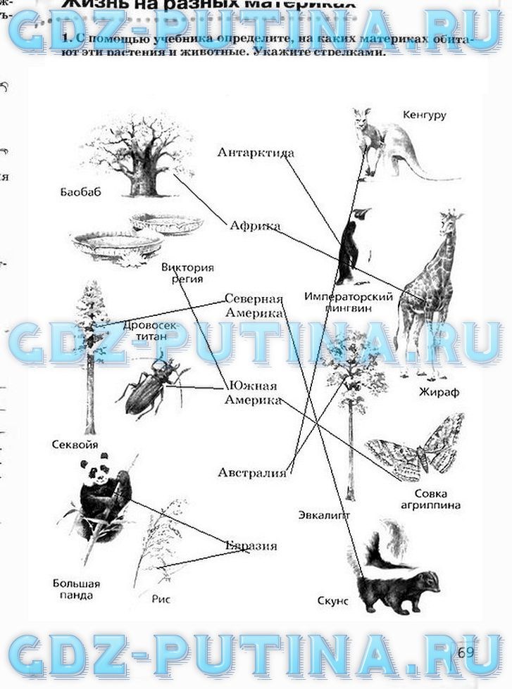 Рабочая тетрадь, 5 класс, Плешаков А.А., Сонин Н.И., 2014 - 2016, задание: 69