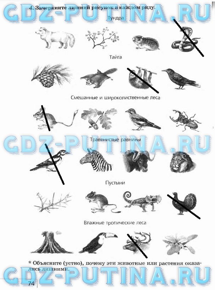 Рабочая тетрадь, 5 класс, Плешаков А.А., Сонин Н.И., 2014 - 2016, задание: 74