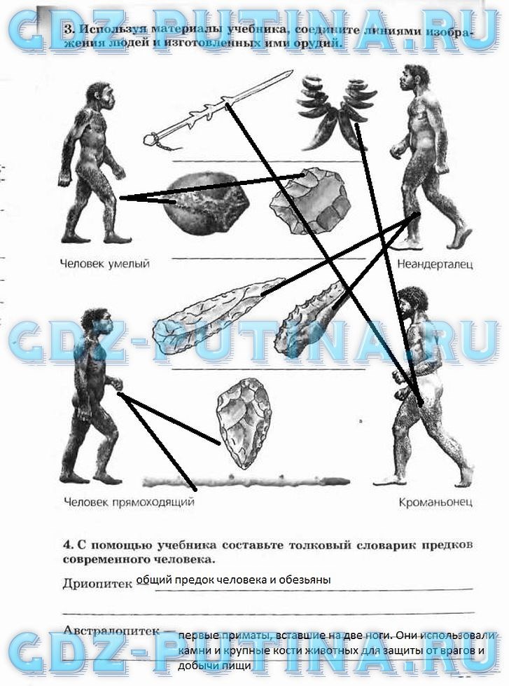 Рабочая тетрадь, 5 класс, Плешаков А.А., Сонин Н.И., 2014 - 2016, задание: 83
