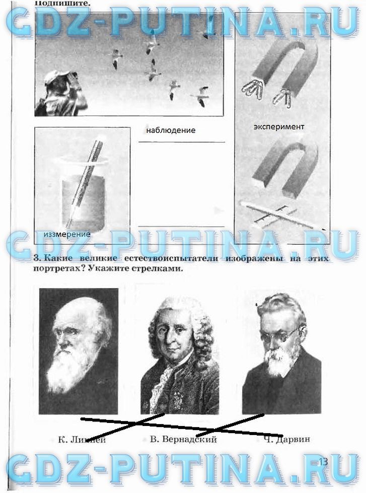 Рабочая тетрадь, 5 класс, Плешаков А.А., Сонин Н.И., 2014 - 2016, задание: 13