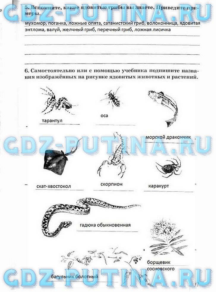 Рабочая тетрадь, 5 класс, Плешаков А.А., Сонин Н.И., 2014 - 2016, задание: 97