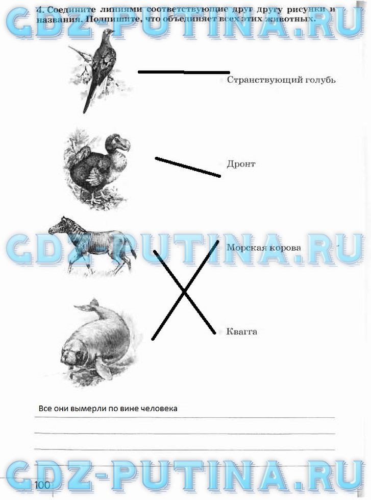 Рабочая тетрадь, 5 класс, Плешаков А.А., Сонин Н.И., 2014 - 2016, задание: 100