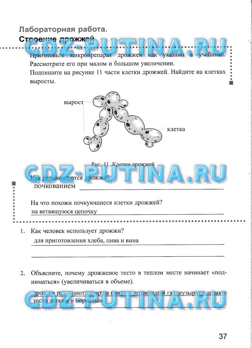 Рабочая тетрадь, 5 класс, Преображенская Н.В., 2016, задание: 37