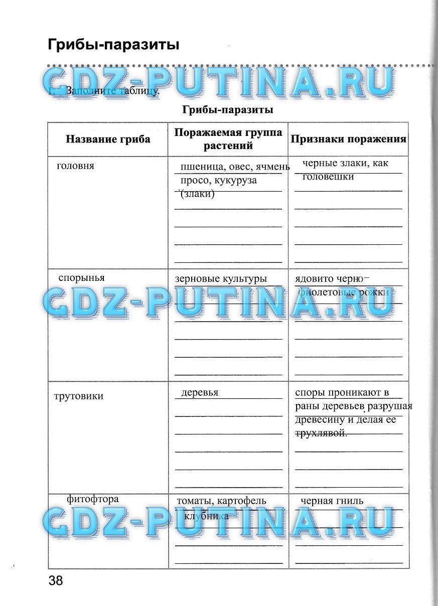 Рабочая тетрадь, 5 класс, Преображенская Н.В., 2016, задание: 38