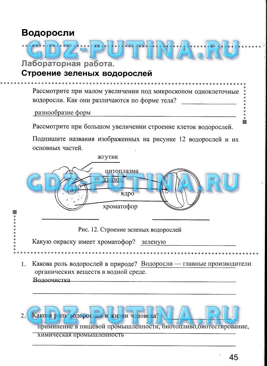 Рабочая тетрадь, 5 класс, Преображенская Н.В., 2016, задание: 45