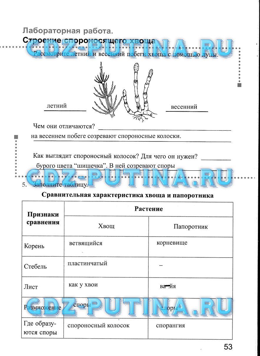 Рабочая тетрадь, 5 класс, Преображенская Н.В., 2016, задание: 53