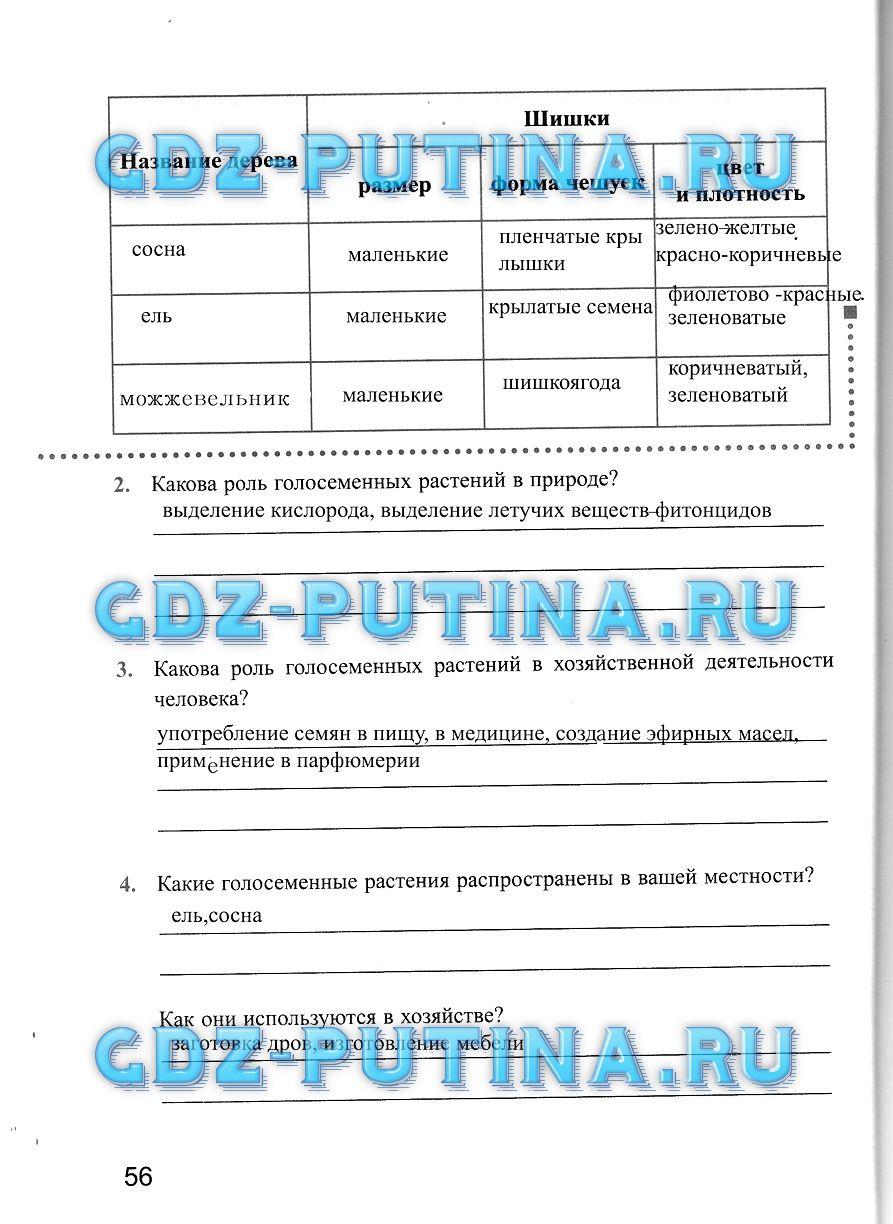 Рабочая тетрадь, 5 класс, Преображенская Н.В., 2016, задание: 56