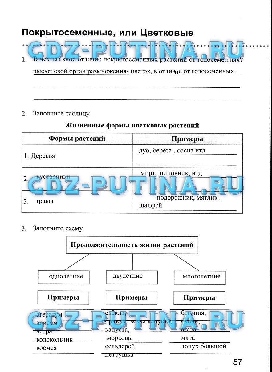 Рабочая тетрадь, 5 класс, Преображенская Н.В., 2016, задание: 57