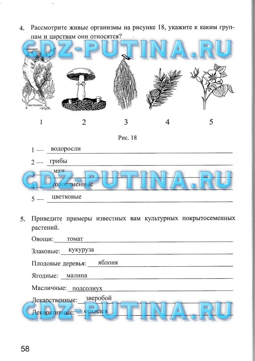 Рабочая тетрадь, 5 класс, Преображенская Н.В., 2016, задание: 58