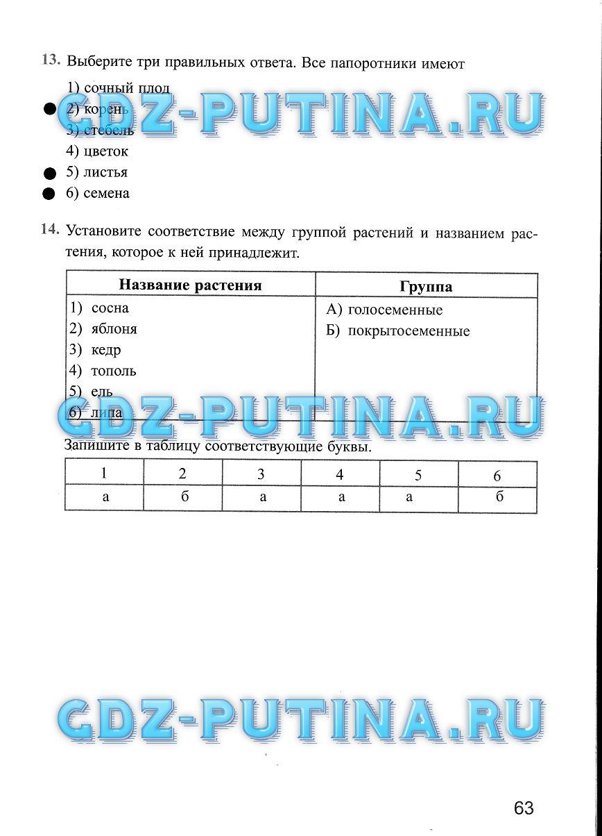 Рабочая тетрадь, 5 класс, Преображенская Н.В., 2016, задание: 63
