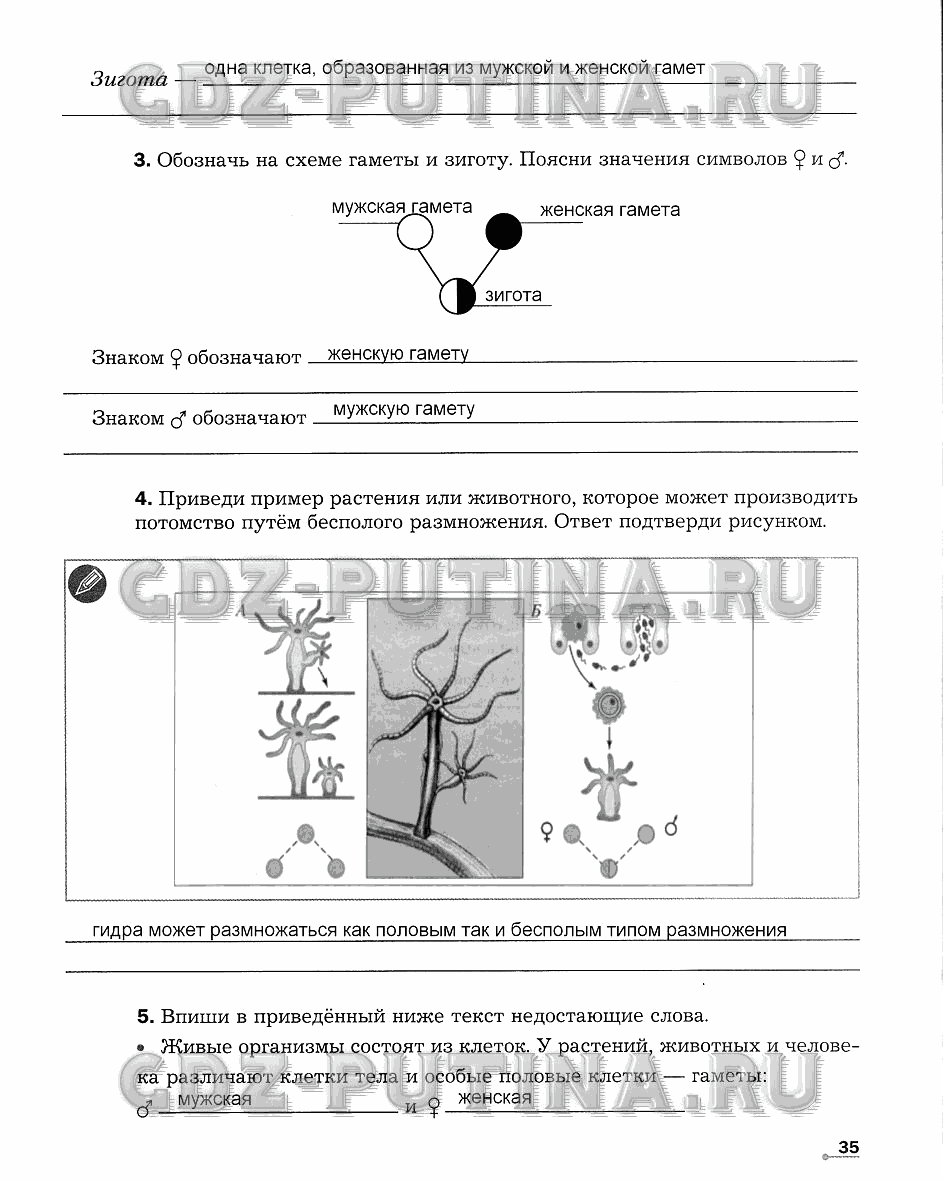 Рабочая тетрадь. Часть 1, 5 класс, Сухова Т.С., Строганов В. И., 2013 - 2015, задание: 35