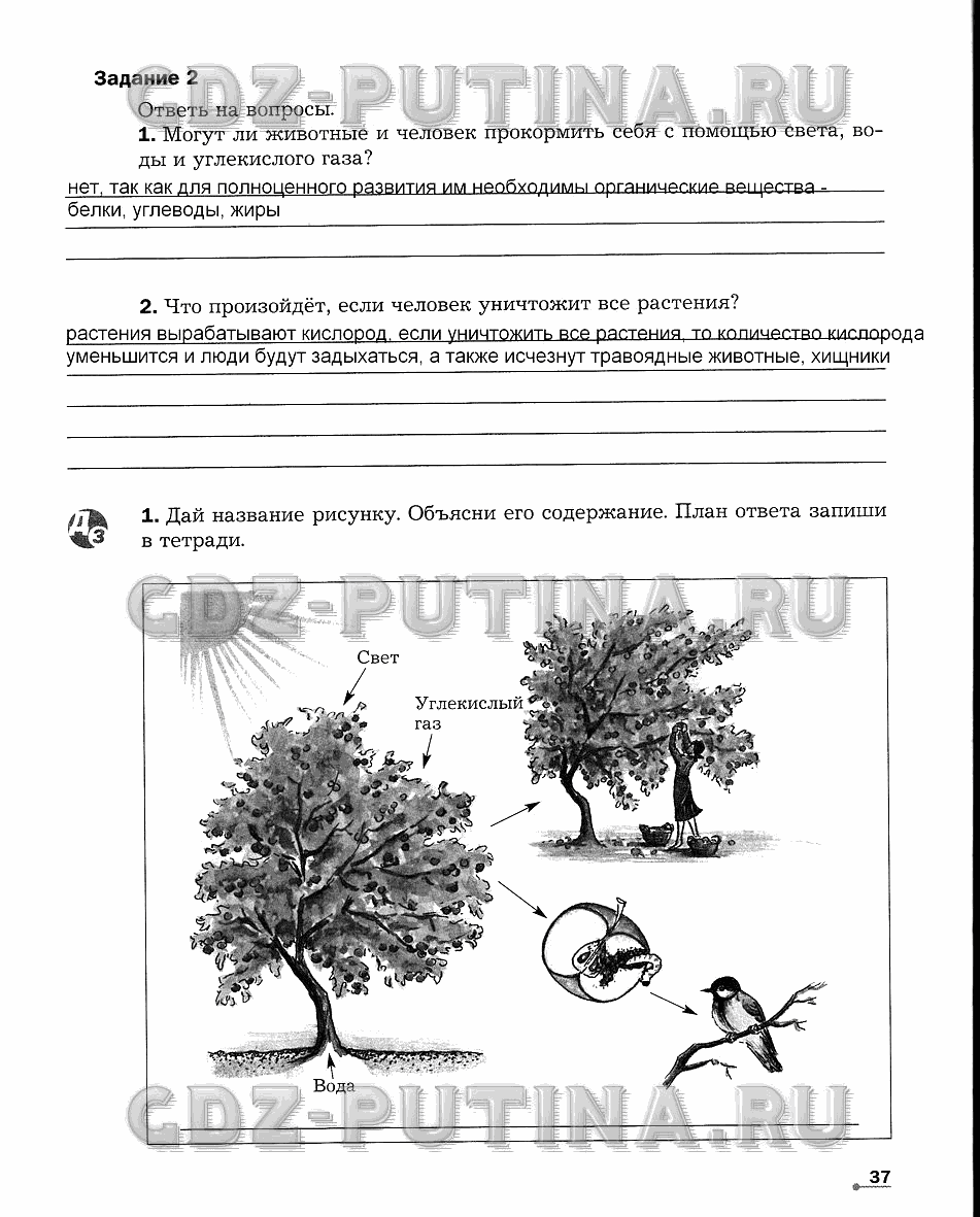Рабочая тетрадь. Часть 1, 5 класс, Сухова Т.С., Строганов В. И., 2013 - 2015, задание: 37