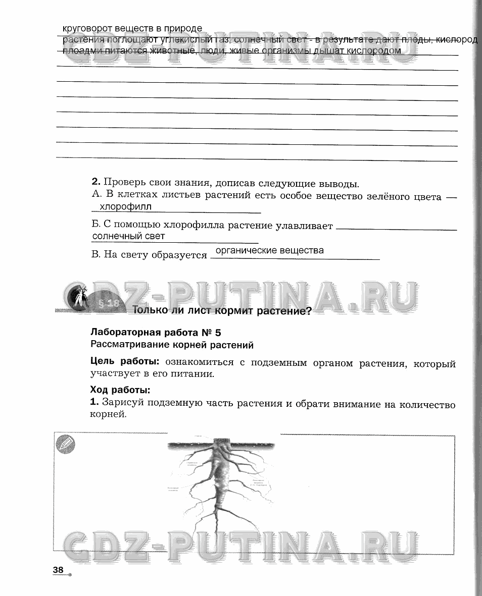 Рабочая тетрадь. Часть 1, 5 класс, Сухова Т.С., Строганов В. И., 2013 - 2015, задание: 38