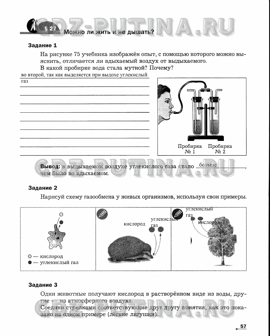 Рабочая тетрадь. Часть 1, 5 класс, Сухова Т.С., Строганов В. И., 2013 - 2015, задание: 57