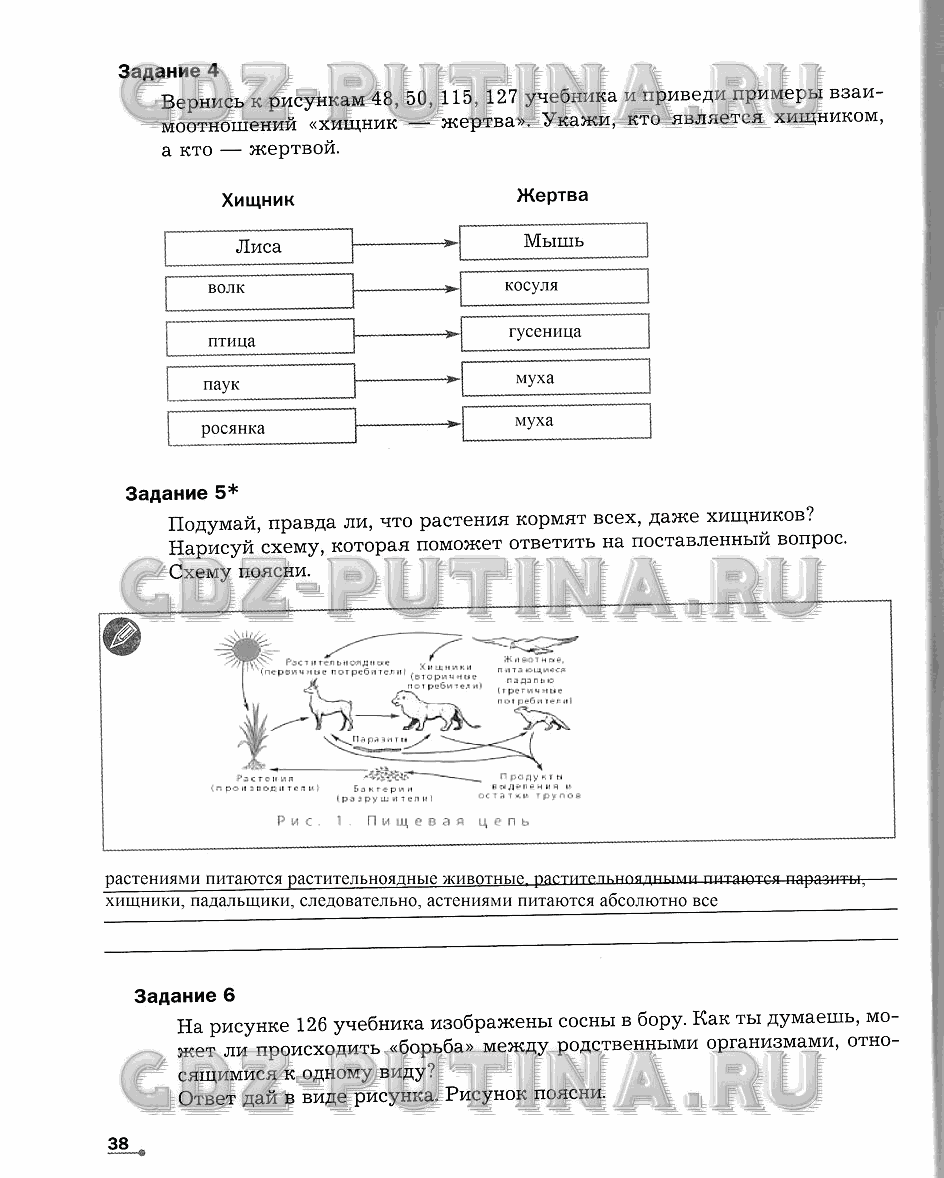 Рабочая тетрадь. Часть 2, 5 класс, Сухова Т.С., Строганов В. И., 2013 - 2015, задание: 38