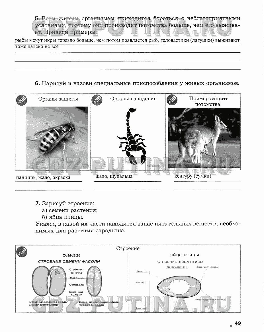 Рабочая тетрадь. Часть 2, 5 класс, Сухова Т.С., Строганов В. И., 2013 - 2015, задание: 49
