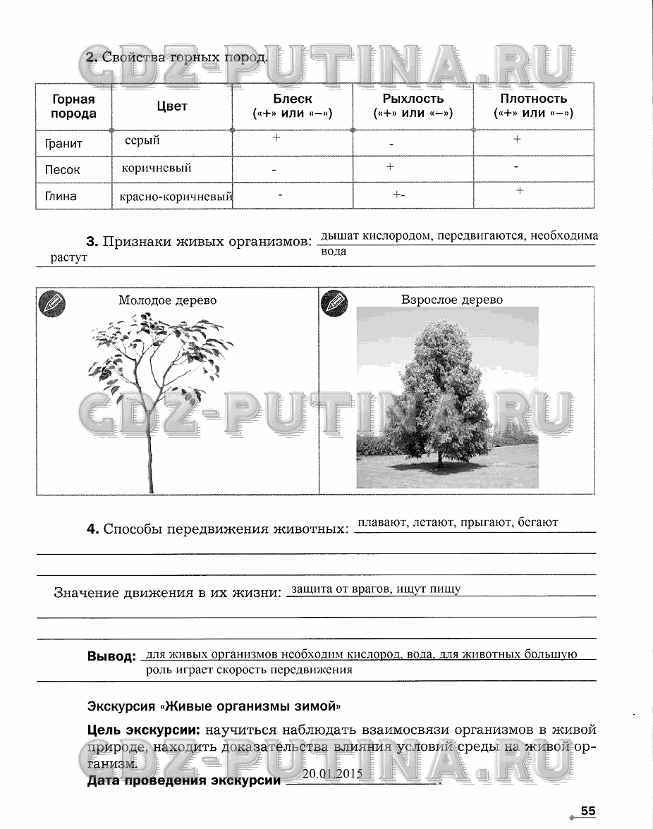 Рабочая тетрадь. Часть 2, 5 класс, Сухова Т.С., Строганов В. И., 2013 - 2015, задание: 55