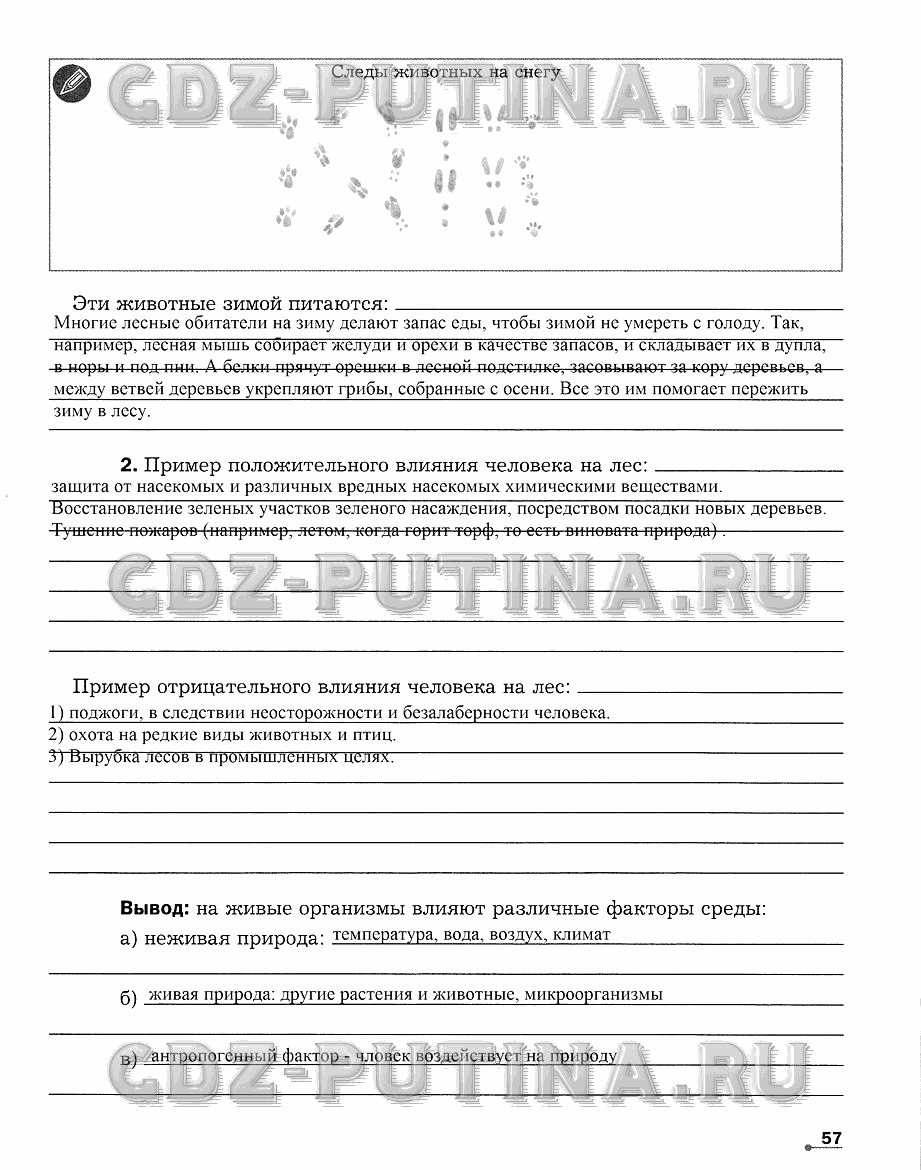 Рабочая тетрадь. Часть 2, 5 класс, Сухова Т.С., Строганов В. И., 2013 - 2015, задание: 57