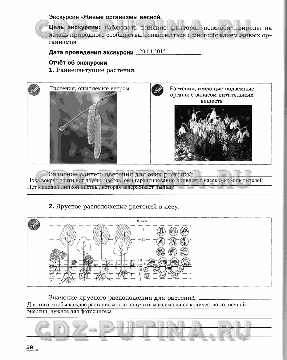 Рабочая тетрадь. Часть 2, 5 класс, Сухова Т.С., Строганов В. И., 2013 - 2015, задание: 58