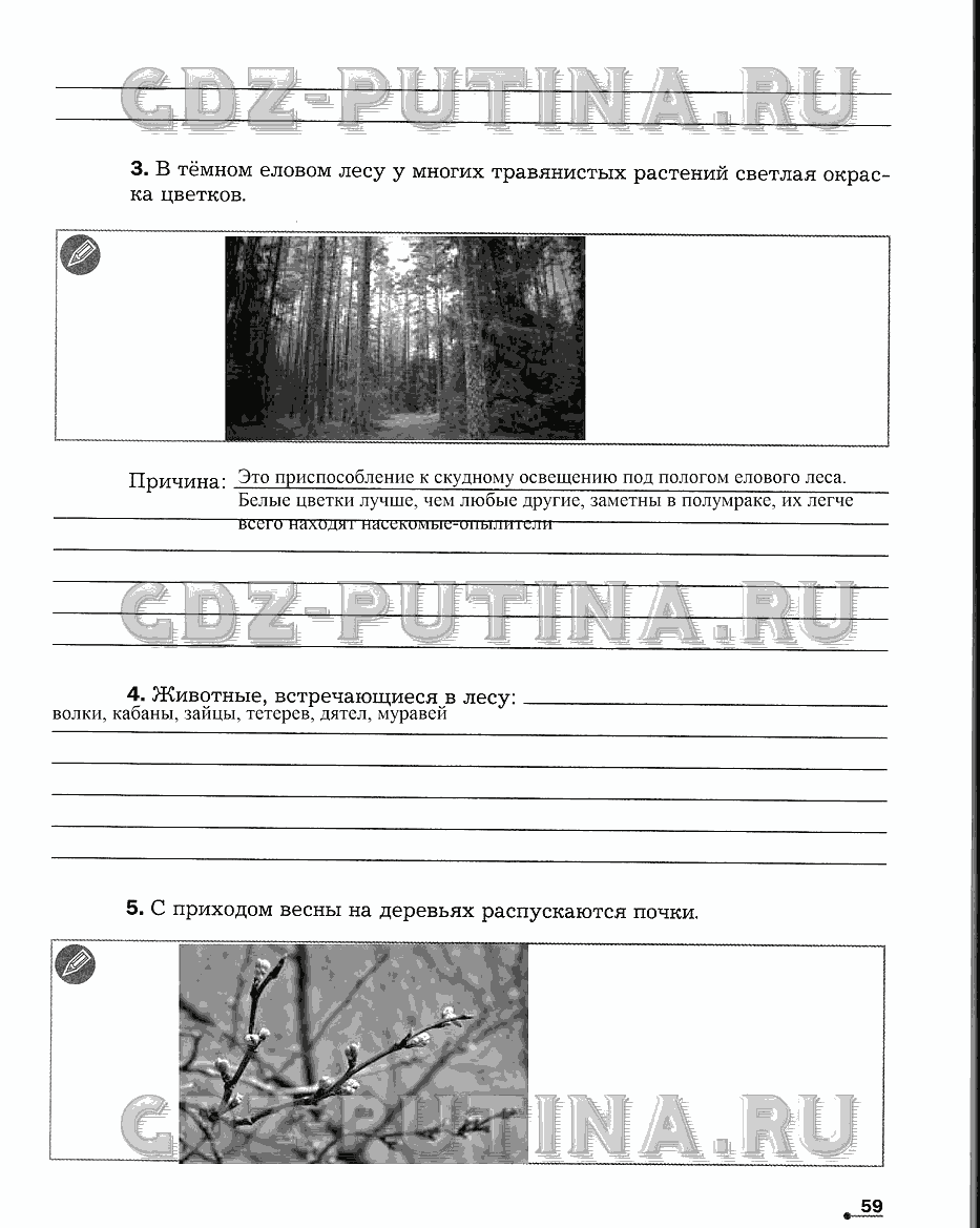 Рабочая тетрадь. Часть 2, 5 класс, Сухова Т.С., Строганов В. И., 2013 - 2015, задание: 59