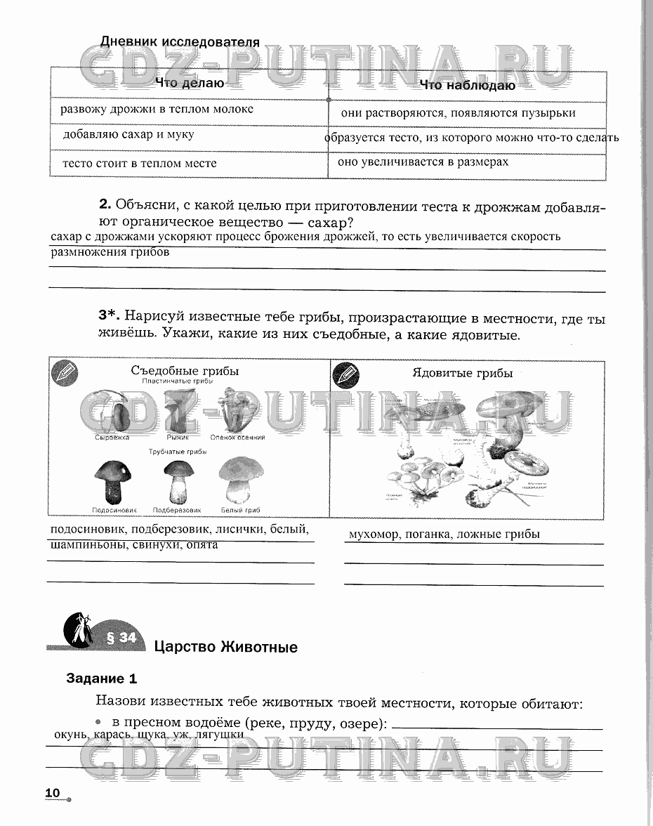 Рабочая тетрадь. Часть 2, 5 класс, Сухова Т.С., Строганов В. И., 2013 - 2015, задание: 10