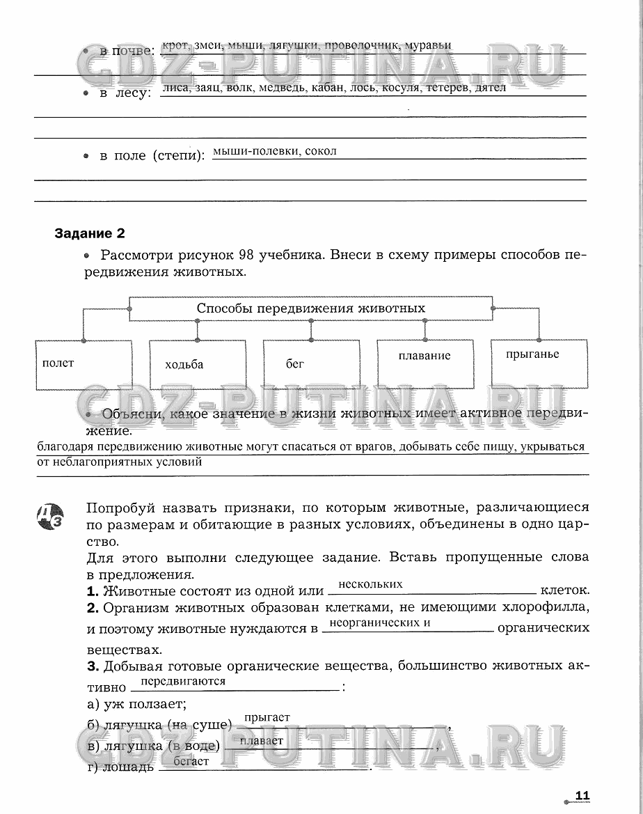 Рабочая тетрадь. Часть 2, 5 класс, Сухова Т.С., Строганов В. И., 2013 - 2015, задание: 11