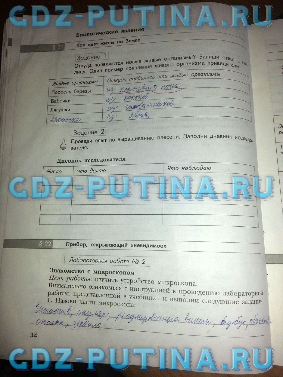 Рабочая тетрадь по природоведению, 5 класс, Сухова Т.С., Строганов В.И., 2013, задание: 34