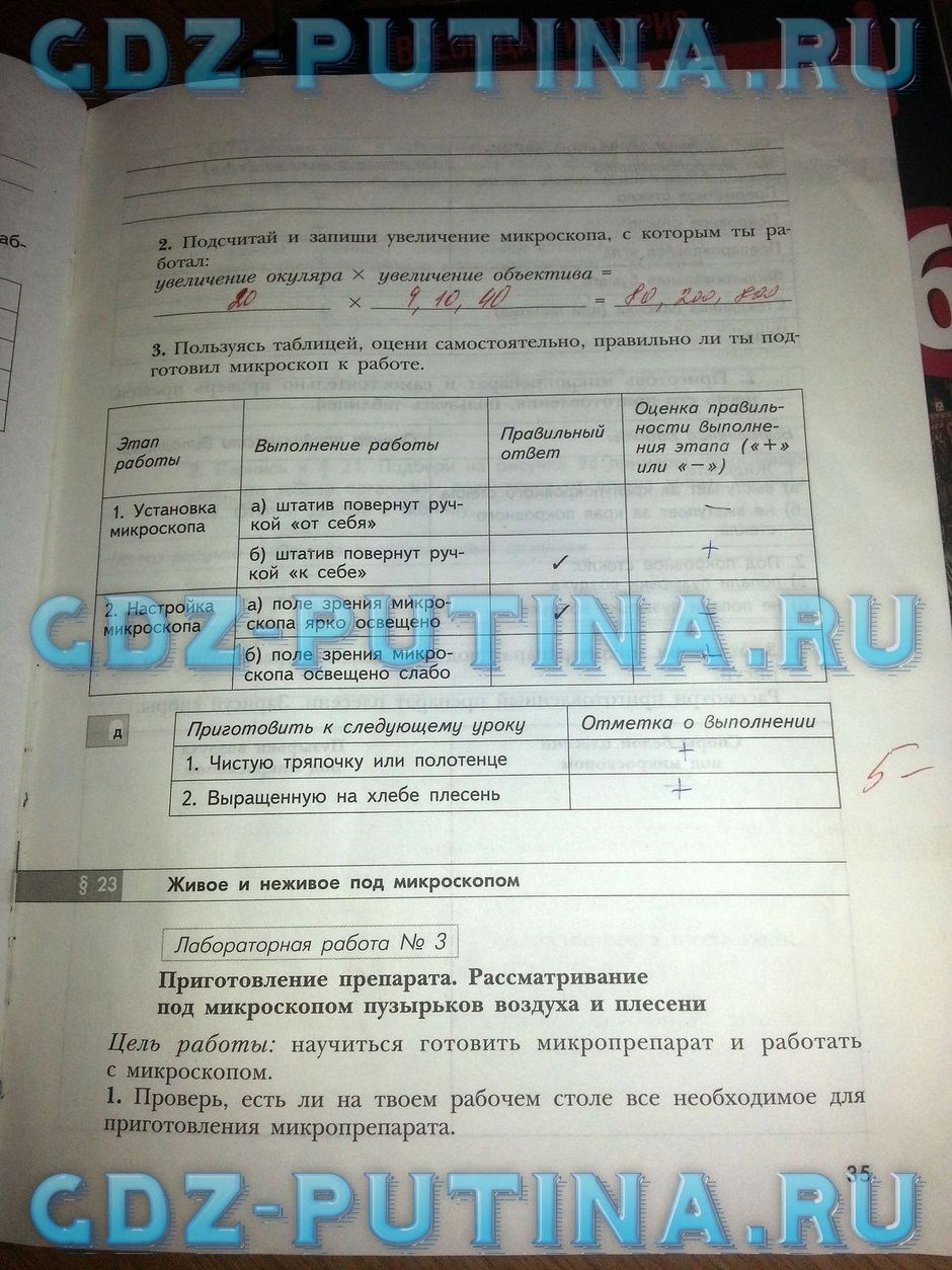 Рабочая тетрадь по природоведению, 5 класс, Сухова Т.С., Строганов В.И., 2013, задание: 35