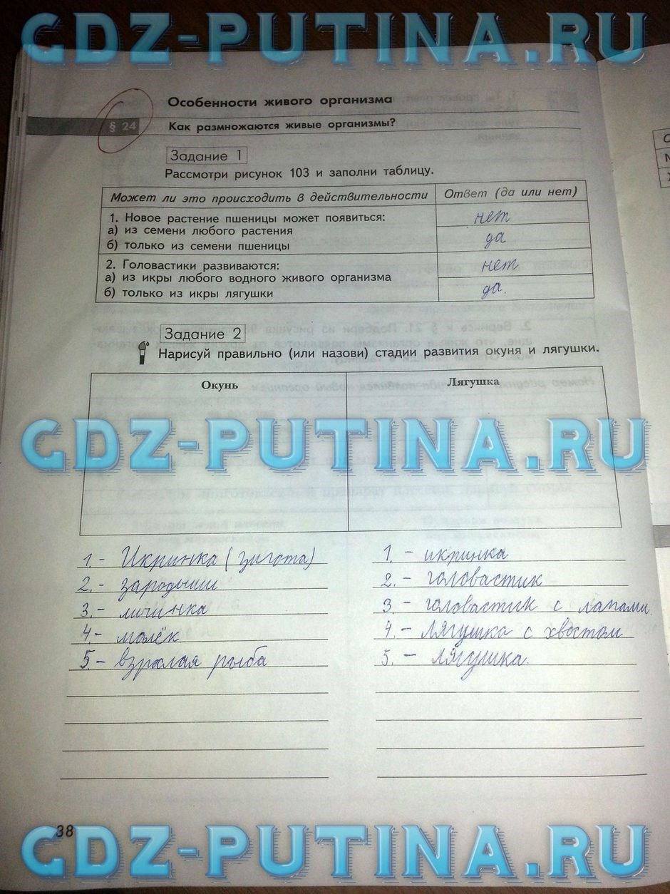Рабочая тетрадь по природоведению, 5 класс, Сухова Т.С., Строганов В.И., 2013, задание: 38