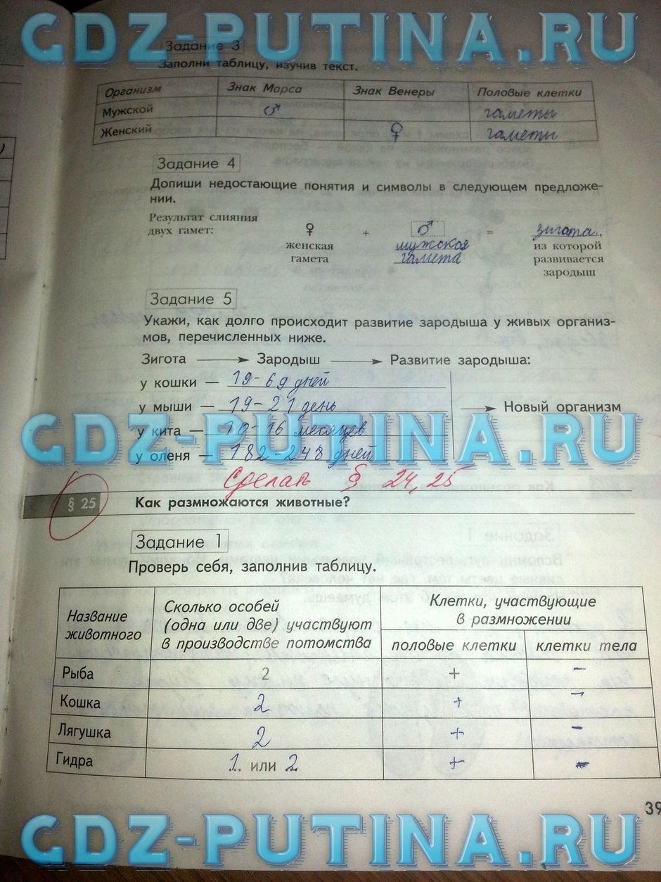 Рабочая тетрадь по природоведению, 5 класс, Сухова Т.С., Строганов В.И., 2013, задание: 39
