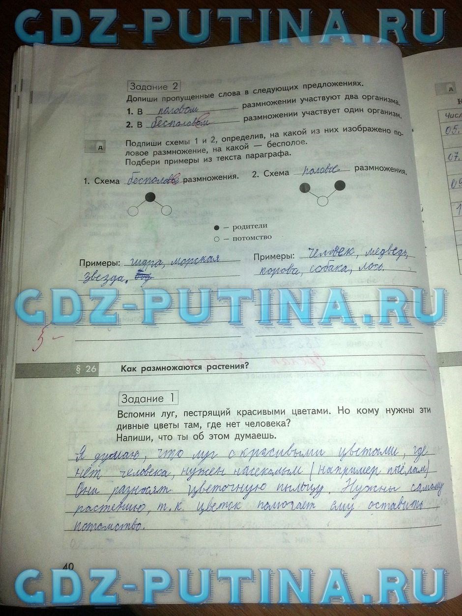 Рабочая тетрадь по природоведению, 5 класс, Сухова Т.С., Строганов В.И., 2013, задание: 40