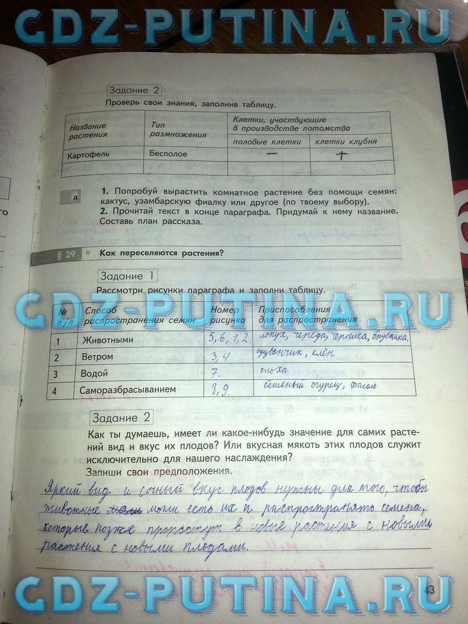 Рабочая тетрадь по природоведению, 5 класс, Сухова Т.С., Строганов В.И., 2013, задание: 43