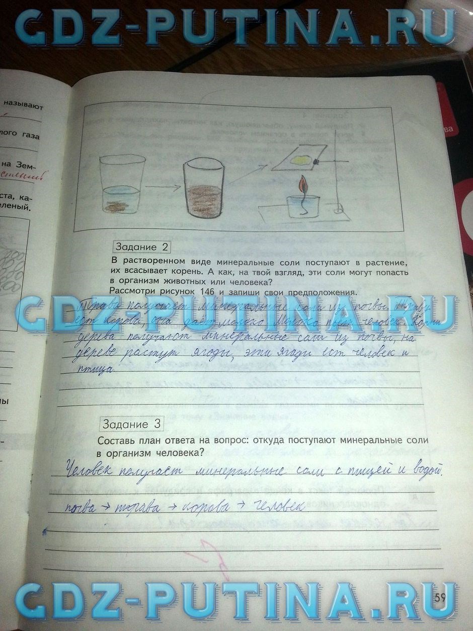 Рабочая тетрадь по природоведению, 5 класс, Сухова Т.С., Строганов В.И., 2013, задание: 59