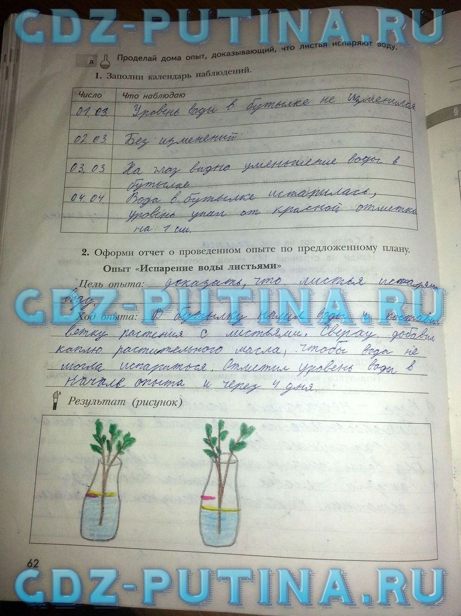 Рабочая тетрадь по природоведению, 5 класс, Сухова Т.С., Строганов В.И., 2013, задание: 62