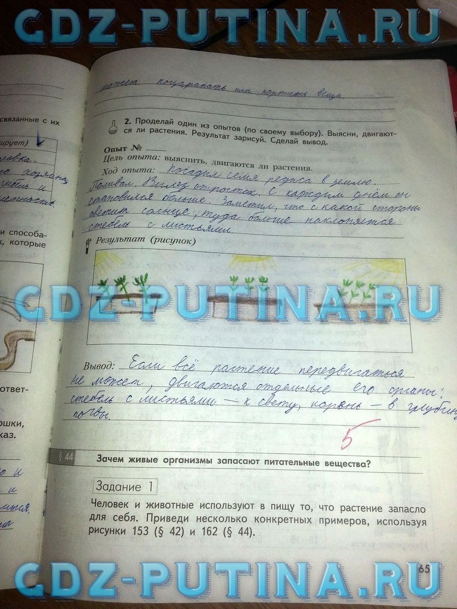 Рабочая тетрадь по природоведению, 5 класс, Сухова Т.С., Строганов В.И., 2013, задание: 65