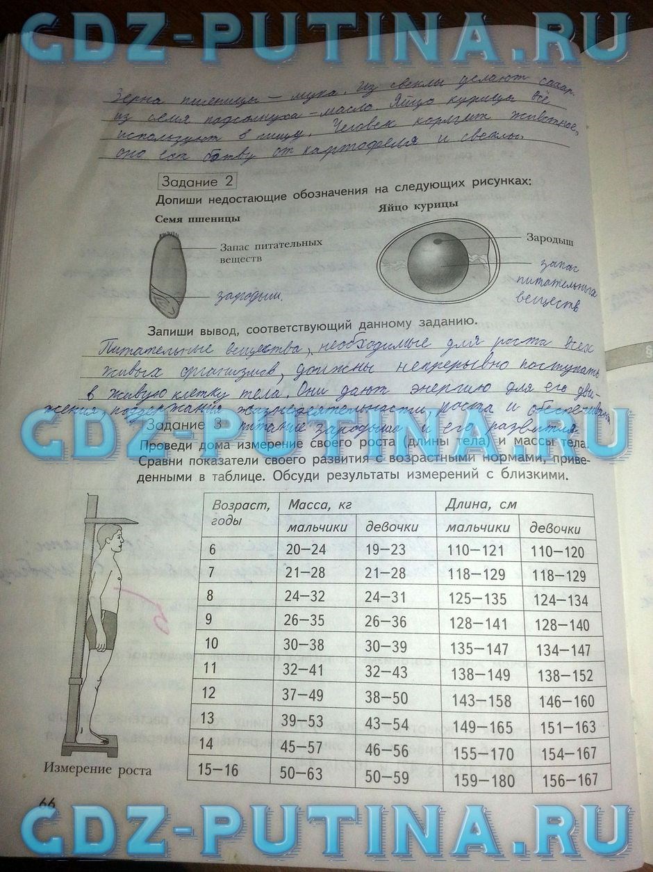 Рабочая тетрадь по природоведению, 5 класс, Сухова Т.С., Строганов В.И., 2013, задание: 66