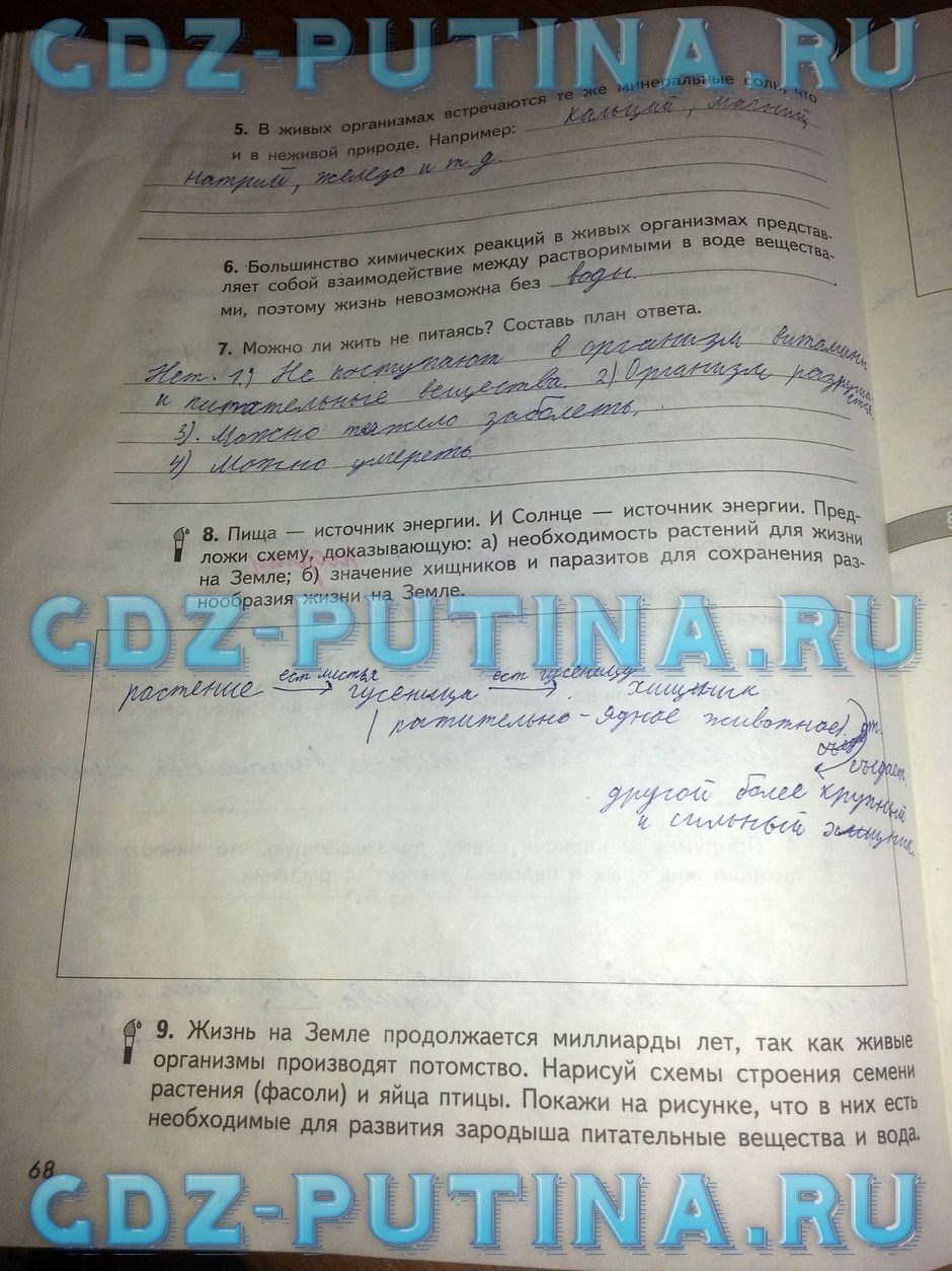 Рабочая тетрадь по природоведению, 5 класс, Сухова Т.С., Строганов В.И., 2013, задание: 68