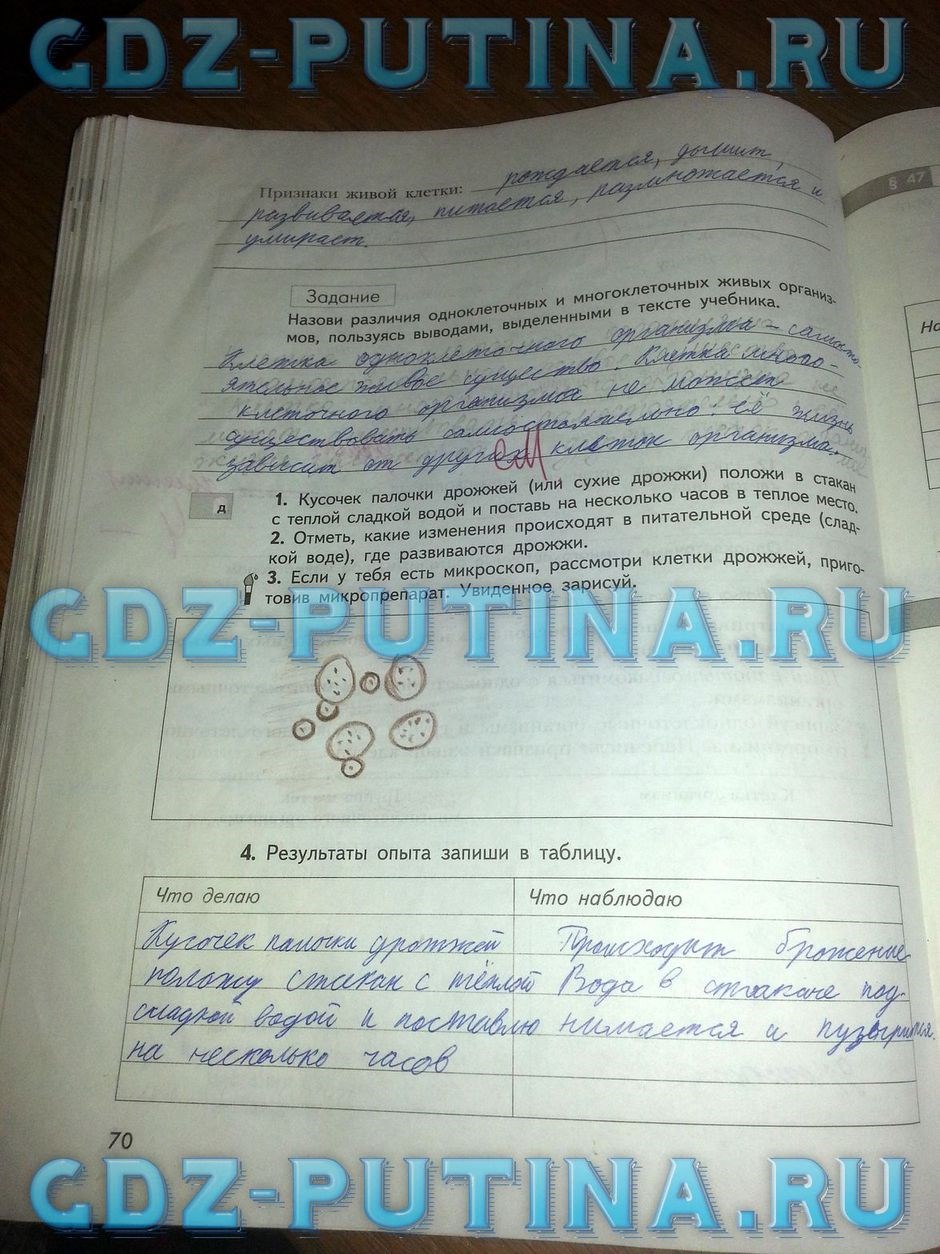 Рабочая тетрадь по природоведению, 5 класс, Сухова Т.С., Строганов В.И., 2013, задание: 70