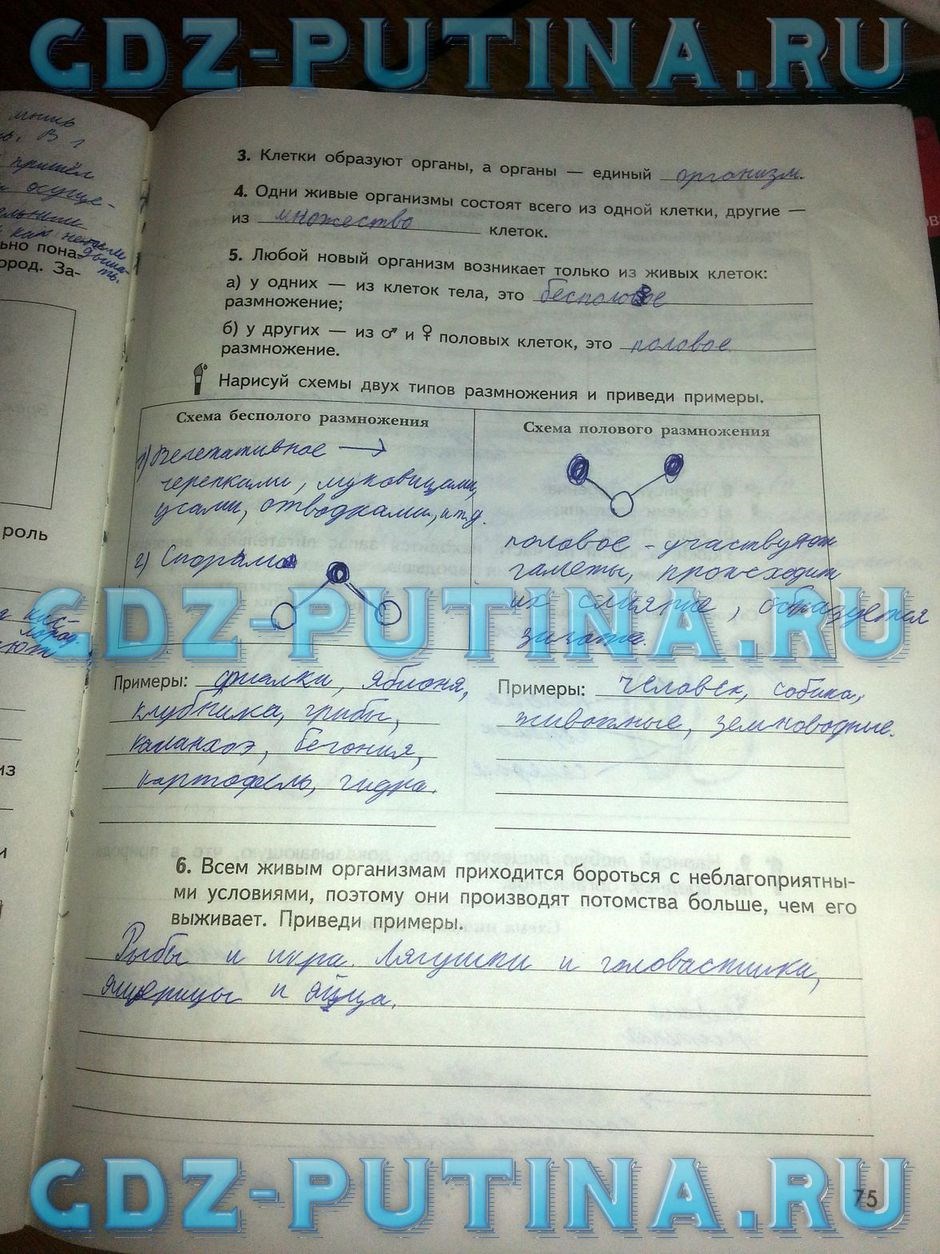 Рабочая тетрадь по природоведению, 5 класс, Сухова Т.С., Строганов В.И., 2013, задание: 75
