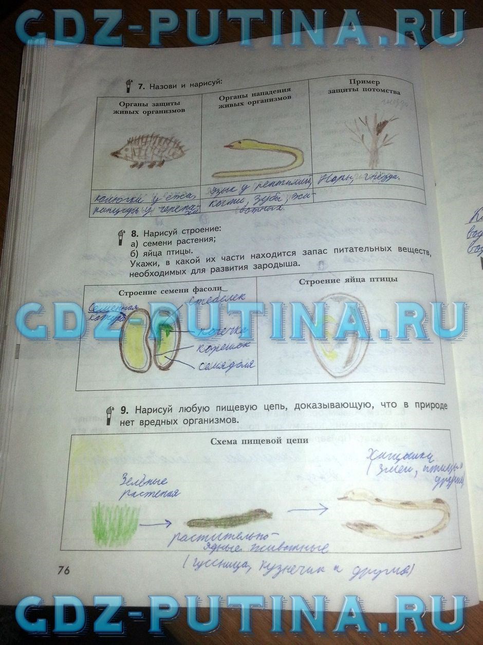 Рабочая тетрадь по природоведению, 5 класс, Сухова Т.С., Строганов В.И., 2013, задание: 76