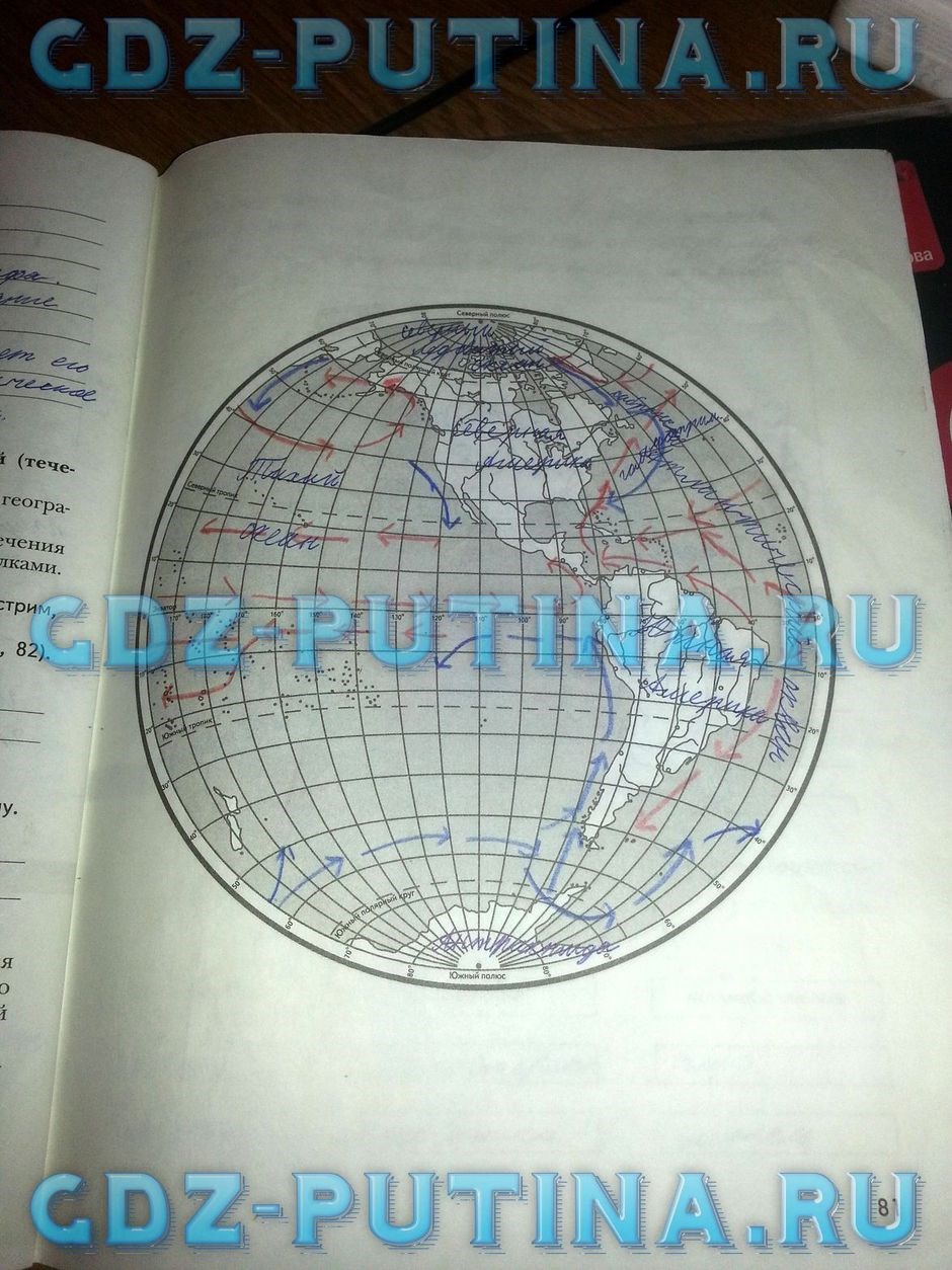 Рабочая тетрадь по природоведению, 5 класс, Сухова Т.С., Строганов В.И., 2013, задание: 81
