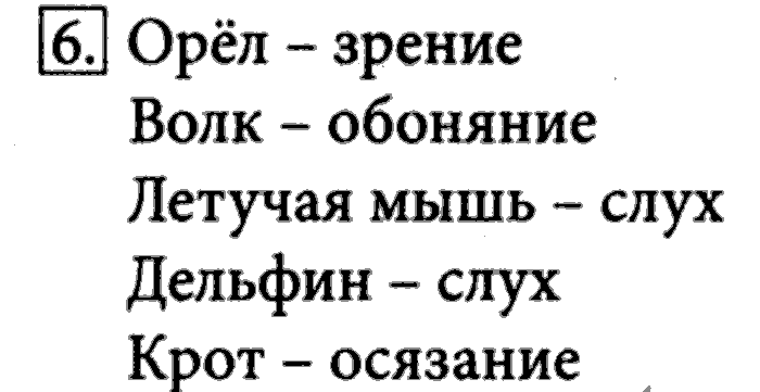 Рабочая тетрадь, 5 класс, Босова, 2016, задача: 6