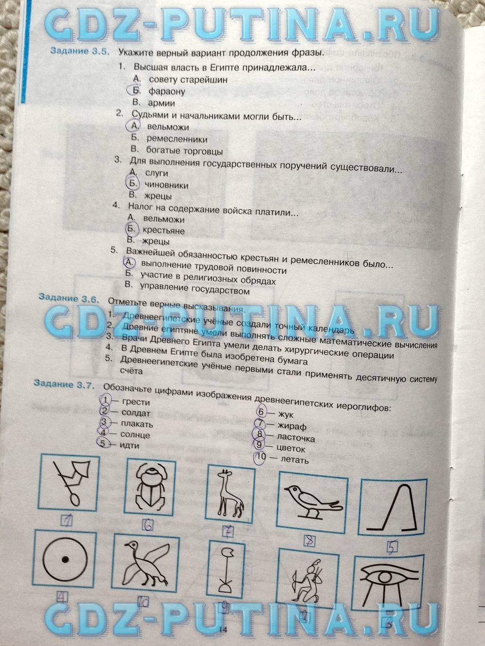 Рабочая тетрадь, 5 класс, Пономарёв М.В., Колпаков С.В., 2015, задание: 14