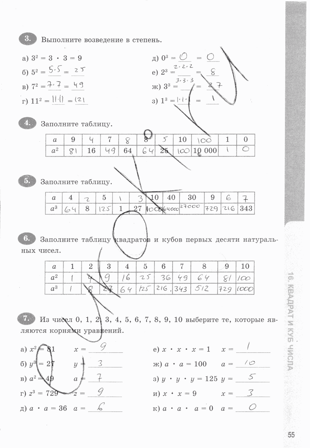 Рабочая тетрадь. Часть 1, 5 класс, Т.М. Ерина к учебнику И. И. Зубаревой, А. Г. Мордковича, 2015, задание: стр. 55