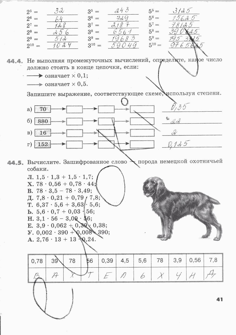 Рабочая тетрадь Часть 2, 5 класс, И.И. Зубарева, 2012, задание: Стр. 41